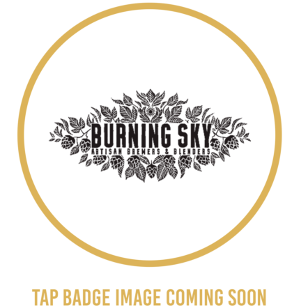 Burning Sky New Alliance